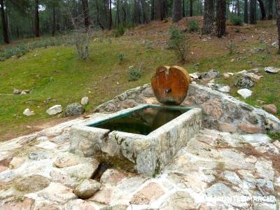 Pinares, Riscos y Atalayas; rutas en madrid senderismo; naturaleza viajes